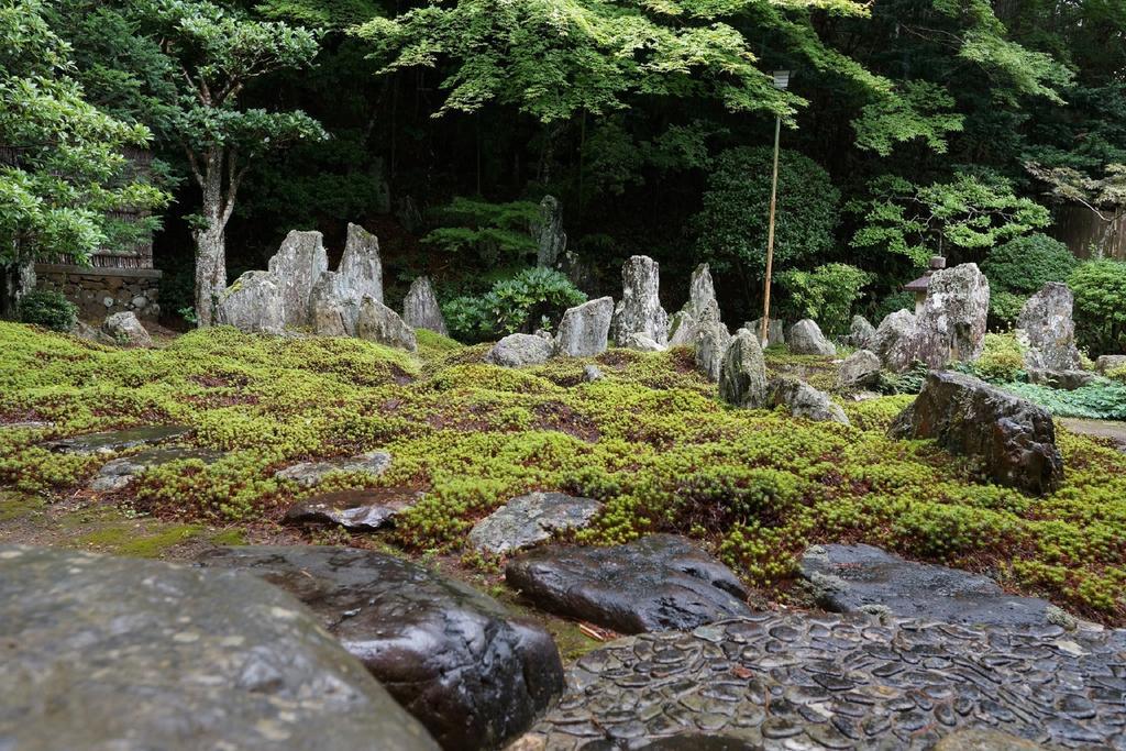 Hotel Koyasan Shukubo Saizenin Zewnętrze zdjęcie